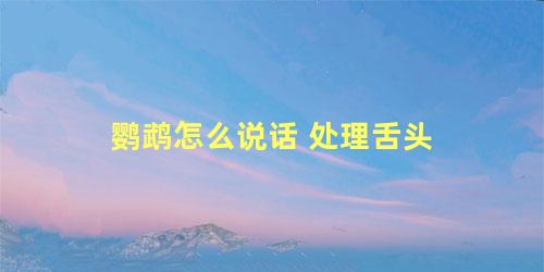 鹦鹉怎么说话 处理舌头